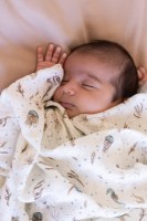 Little Pea_Cam Cam Βρεφική κουβερτούλα μουσελίνας,Sea Garden 1